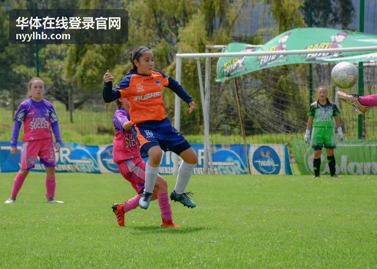 华体在线登录官网赛事观赛服务内容